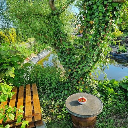 Apartament U Beti Ополе Екстер'єр фото